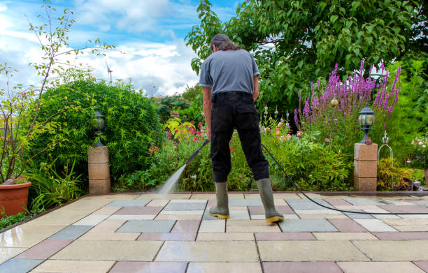 Best Animal Enclosure Cleaning  in Belfair, WA